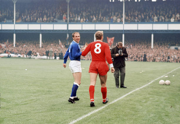 引援案例 引援案例