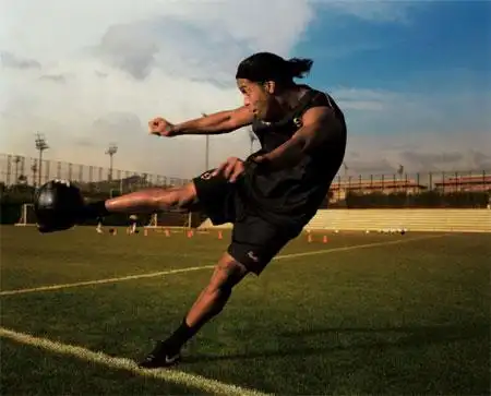 這一政策的 這一政策的